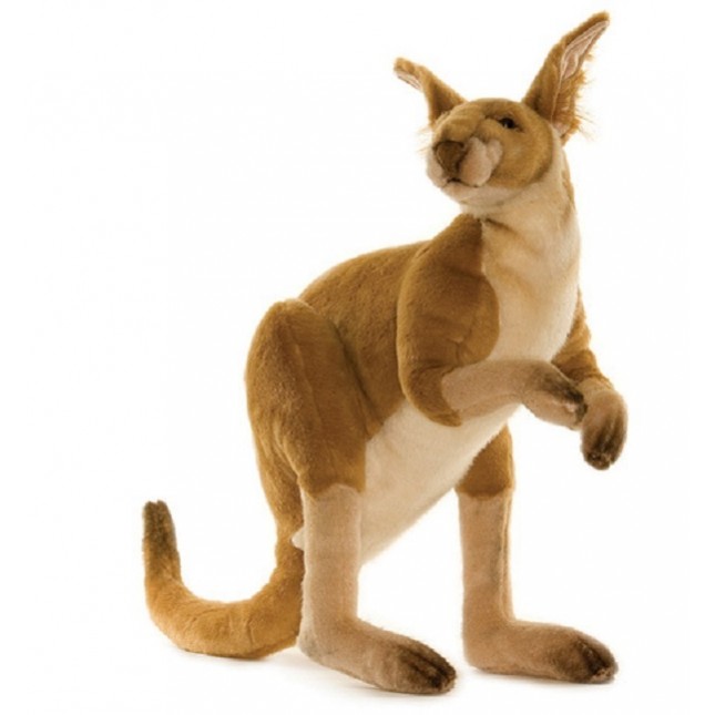 Hansa Toys Kangaroo, Male