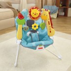 Fisher Price 2-in-1 Sensory Stages Bouncer