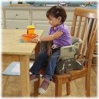 Fisher Price SpaceSaver High Chair – Flower Pot