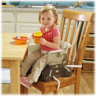 Fisher Price SpaceSaver High Chair – Berry