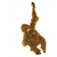 Hansa Toys Orangutan, Kid (Clyde) 