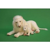 Hansa Toys White Lion, 40" Long