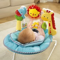 Fisher Price 2-in-1 Sensory Stages Bouncer