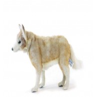 Hansa Toys Coyote, Young