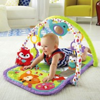 Fisher Price 3-in-1 Musical Activity Gym