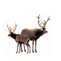 Hansa Toys Deer, Extra Large Reindeer Ride-On