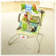Fisher Price Rainforest Friends Deluxe Bouncer