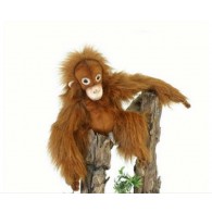 Hansa Toys Orangutan Baby 11"