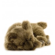 Hansa Toys Bear Cub, Sleepy