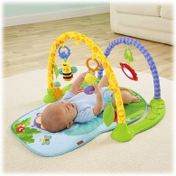 Fisher Price Link ’n Play Musical Gym