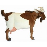 Hansa Toys Goat Life Size 44''