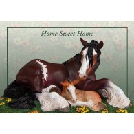 Trail of painted ponies Home Sweet Home-Standard Edition