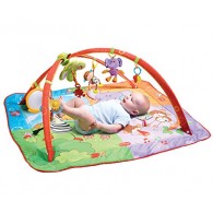 Tiny Love Gymini Move and Play Activity Gym, Animals