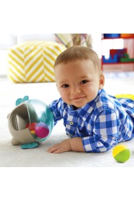 Fisher Price 2-in-1 Activity Chime Ball