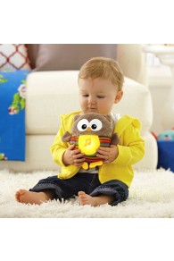 Fisher Price Soothe & Glow Owl Brown