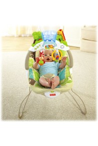 Fisher Price Rainforest Friends Deluxe Bouncer
