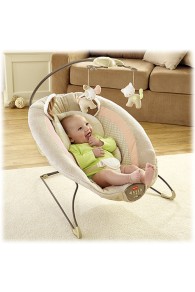 Fisher Price My Little Snugapuppy™ Deluxe Bouncer