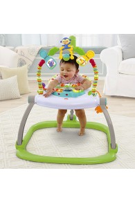 Fisher Price Rainforest Friends SpaceSaver Jumperoo®