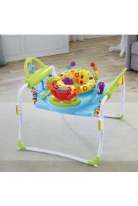 Fisher Price First Steps Jumperoo™