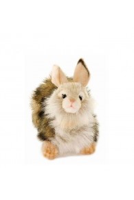 Hansa Toys Rabbit, Fawn