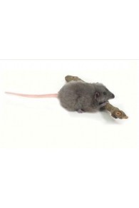 Hansa Toys Mouse, Gray