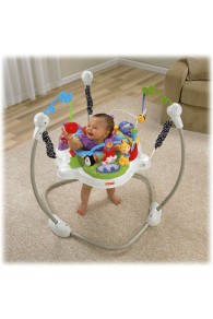 Fisher Price Discover ’n Grow™ Jumperoo™