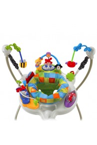 Fisher Price Discover ’n Grow™ Jumperoo™
