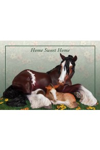 Trail of painted ponies Home Sweet Home Standard Edition