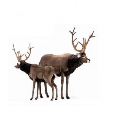 Hansa Toys Deer, Ride-On Reindeer