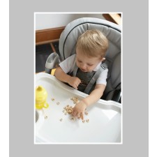 Peg Perego Prima Pappa Best High Chair in Cappuccino