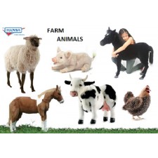 Hansa Toys Little Lamb, Cream 7'' Ark size
