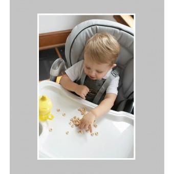 Peg Perego Prima Pappa Best High Chair in Cappuccino