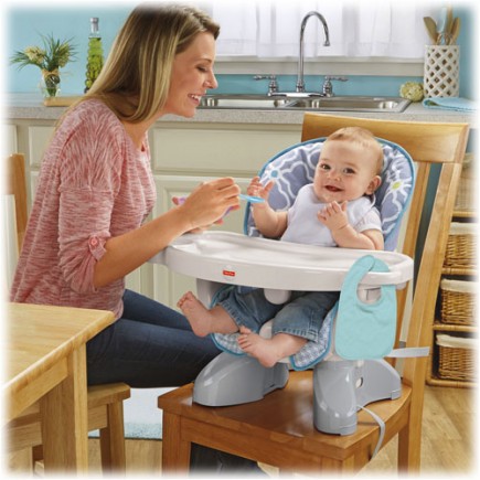 Fisher Price SpaceSaver High Chair – Morning Fog™