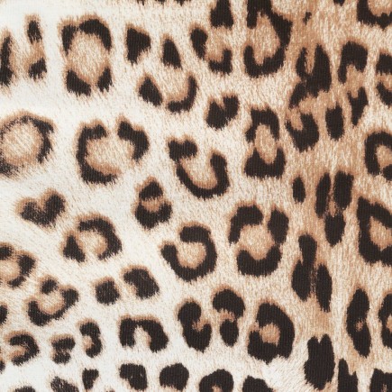 ROBERTO CAVALLI Brown Leopard Print Nest (75cm)