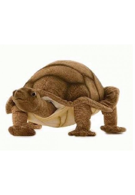 Hansa Toys Turtle, Adult