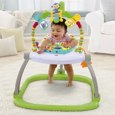 Fisher Price Rainforest Friends SpaceSaver Jumperoo®